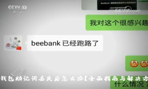 TP钱包助记词丢失后怎么办？全面指南与解决方案